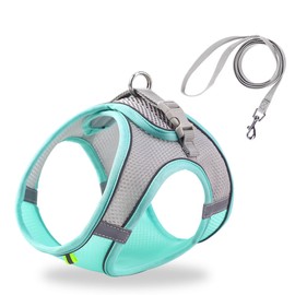 HIPVMES Cat Harness and Leash Set Soft Adjustable Escape Proof Cat Leash Breathable Comfortable Vest Easy to Wear Kitten/Small Dogs Harness for Outdoor Walking Green XS