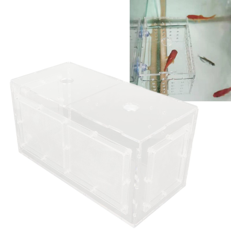 Fish Breeding Isolation Box Transparent Mesh Side Fish Tank Incubator
