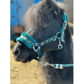 Equipride Horse Print Faux Lined Nylon Headcollars with Matching Lead Rope Green (Shetland)
