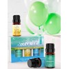 ASAKUKI Top3 Blends Essential Oils Cozy Set Theraputic Grade Aromatherapy