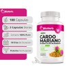 BioHerb® | Cardo Mariano, Extracto 80% Silimarina, 180 Cápsulas de