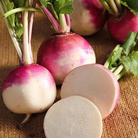 Organic Purple Top White Globe Turnip - 1/4 LB Bulk ~37,500 Seeds - Organic, Heirloom, Open Pollinated, Non-GMO, Farm & Vegetable Gardening & Micro Greens Seeds