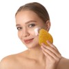 SourceTon Esponja Facial Natural De Konjac (Paquete De 4) |