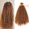 XIIMENALU Kinky Straight Wavy Braiding Hair for Boho Braids, Wet