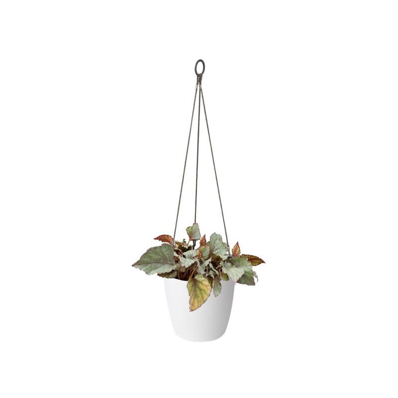 elho 18 cm Brussels Hanging Basket - White