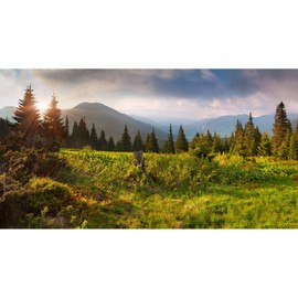 Mountain Backdrop Spring Natural Scenery Photography Background Mountains Trees Green Grass Foggy Misty Forest Jungle Sunshine Pine Tree Backdrop for Adults Portraits Photo Studio Props 9x6ft