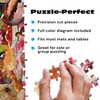 Buffalo Games - Picnic Raiders - 300 Piece Puzzle for