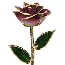 24k Gold Rose - Real Rose Dipped in Gold (2-Tone Burgundy)