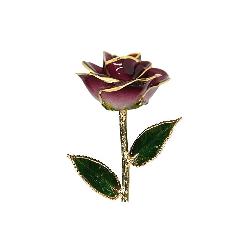 24k Gold Rose - Real Rose Dipped in Gold (2-Tone