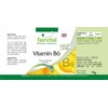 Fairvital Vitamin B6 Tablets - High Dose - Vegan -