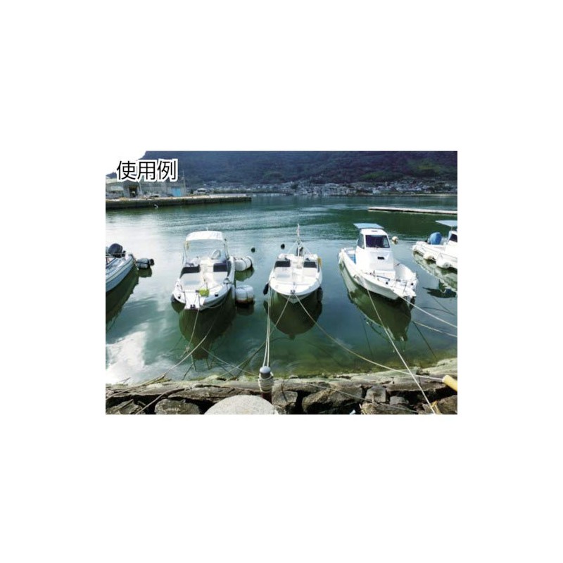 TRUSCO biniron Rope White 4 mm X 10 m with