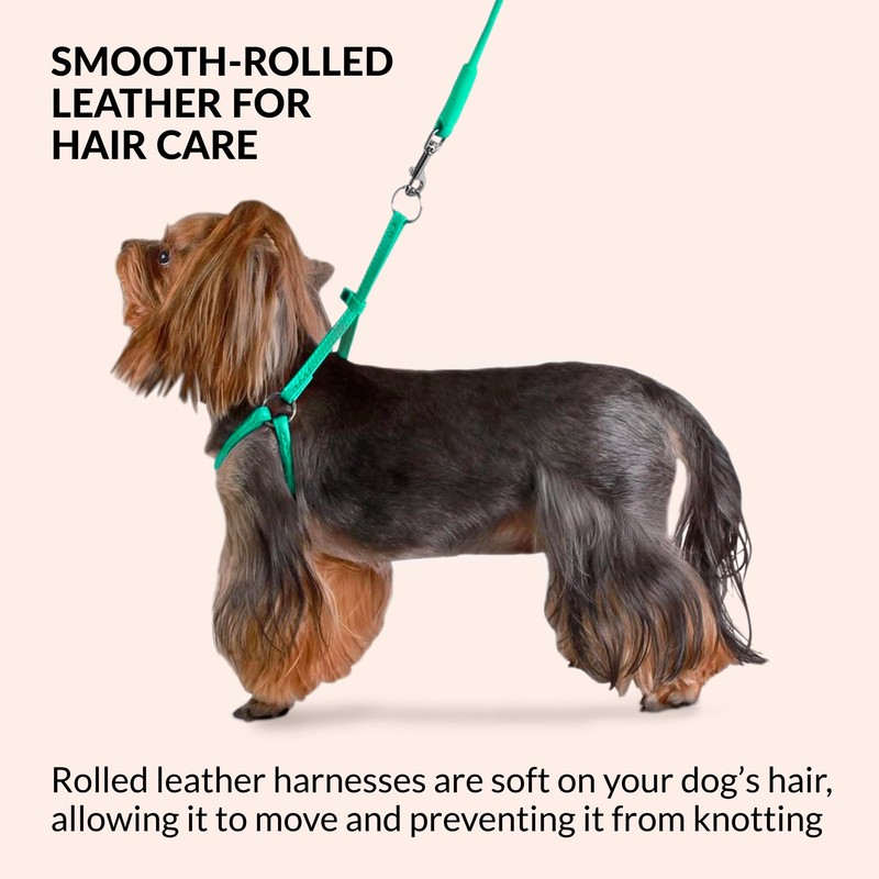 CollarDirect Rolled Leather Dog Harness Small Puppy Step-in Leash Lead