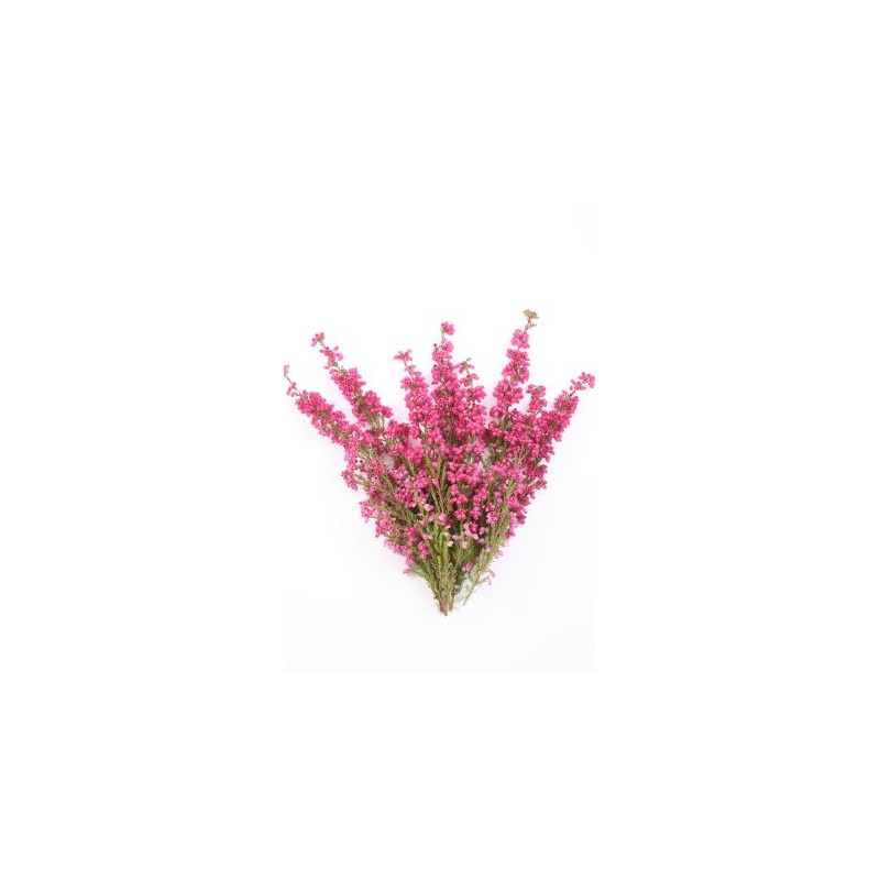 Heather Flowers - Dried Calluna vulgaris Loose Tea from 100%