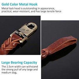 Fdit Collar para, Apto para s de hasta 110 LB (50 Kg) | construcción de cuero suave, ancho de 2.5 cm con largo de 120 cm, diseño trenzado, clip metáli