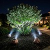 Candieslife LT-151S4 Luces Solares para Rocas de Jardín y Paisaje