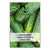 National Pickling Cucumber Seeds for Planting 200 Seeds Bulk Non-GMO
