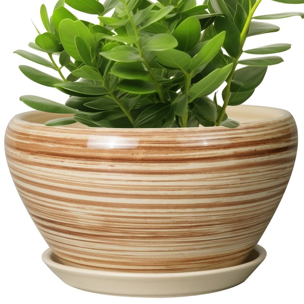Ceramicfor Ceramic Pot for Plants 11 Inch - Planter for