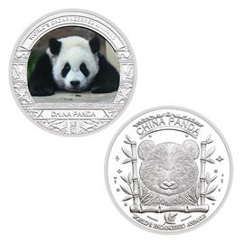 Ourhommie Novelty Panda Coin Round Commemorative Coins Double Sided Metal Coin Gifts in Capsule (Looking)