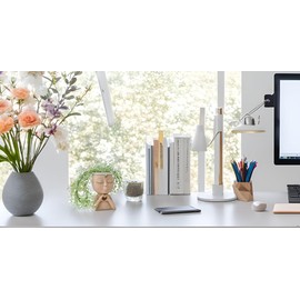 Yoohspoe GAFBA Face Planter Cute Resin Cactus for Indoor and Outdoor Plants Face Vase Home Decor Succulent Pots (Brown-Genie)