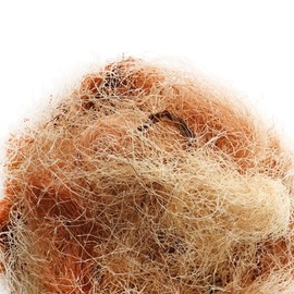 Donguihanjae Gangwon-do corn silk 200g / 동의한재 강원도 옥수수수염 200g