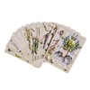 Zqkimzi Tarot Deck, 78 Old Style Tarot Deck, Tarot Book
