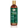 Difeel Champú de Menta y Romero con Biotina