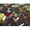 Blagdon 1022385 Clearview Pond Cover Net, Strong Double Weave, Black,