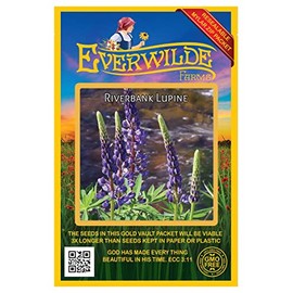 Everwilde Farms - 100 Riverbank Lupine Native Wildflower Seeds - Gold Vault Jumbo Seed Packet