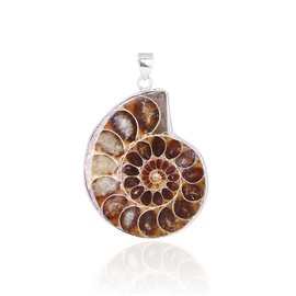 BOGEEL Natural Ammonite s Pendant Jewelry Silver Tone Ammonite s Stone Wrapped Pendant Necklace Fashion Jewelry