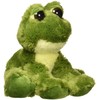 Aurora World 10" FANTABULOUS Frog