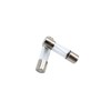 SIXQJZML 10 Pack F2AL Fast-Blow Fuse 2A 250V Glass Fuses