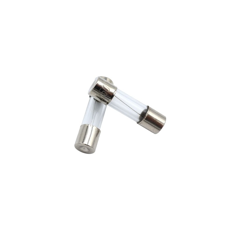 SIXQJZML 10 Pack F2AL Fast-Blow Fuse 2A 250V Glass Fuses