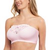 Carole Martin Strapless Bras for Women, Wireless Womens Bandeau Bra