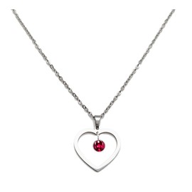 Birthstone necklace (January), Birthstone jewelry, Women's heart necklace. Gifts for lovers, daughters, elders and best friends