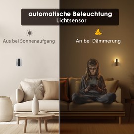 Briignite Night Light Socket with Twilight Sensor, LED Night Light Dimmable 0-100 LM, 1 W Socket Light Backlit Warm White 3000 K for Hallway, Bedroom, Kitchen, Living Room, Stairs, Pack of 1