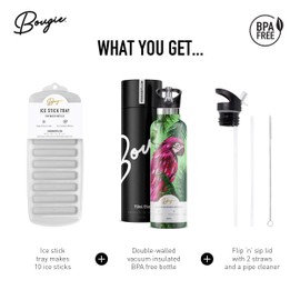 Bougie My Bottle Macaw Stainless Steel Double Walled Insulated Water Bottle with Wide Mouth Flip N Sip Lip Lid, Two Straws & Pipe Cleaner, 25 oz, Hot & Cold Leak Proof Food Grade BPA Free