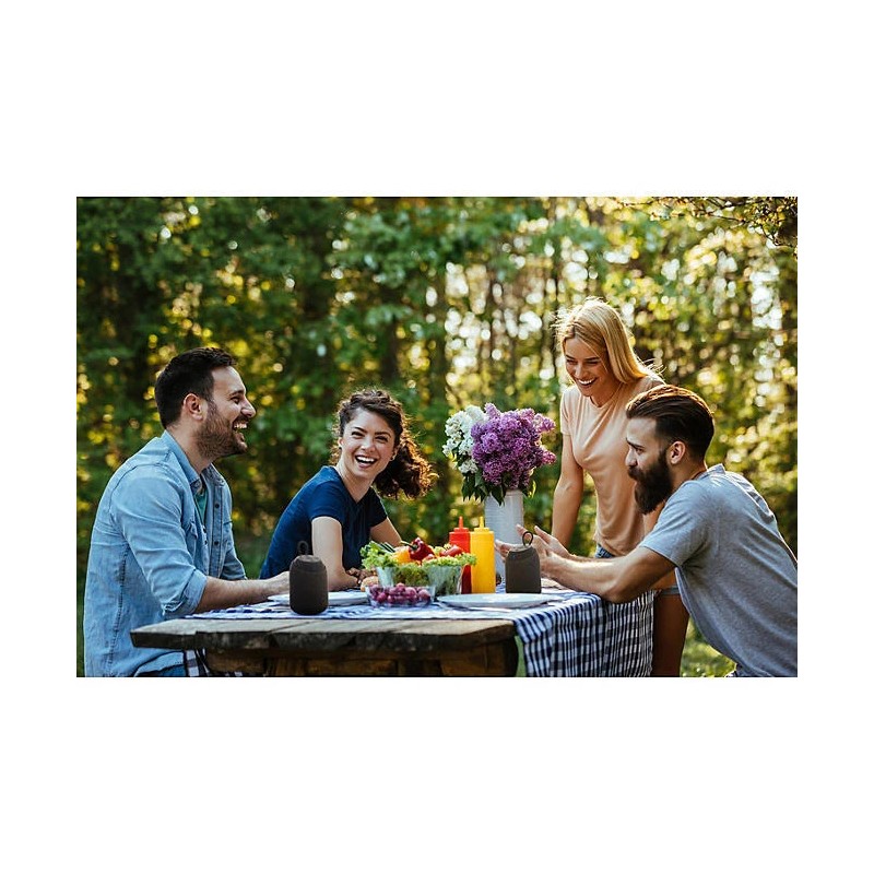 EcoXGear EcoRoam 10 Wireless Bluetooth Speaker