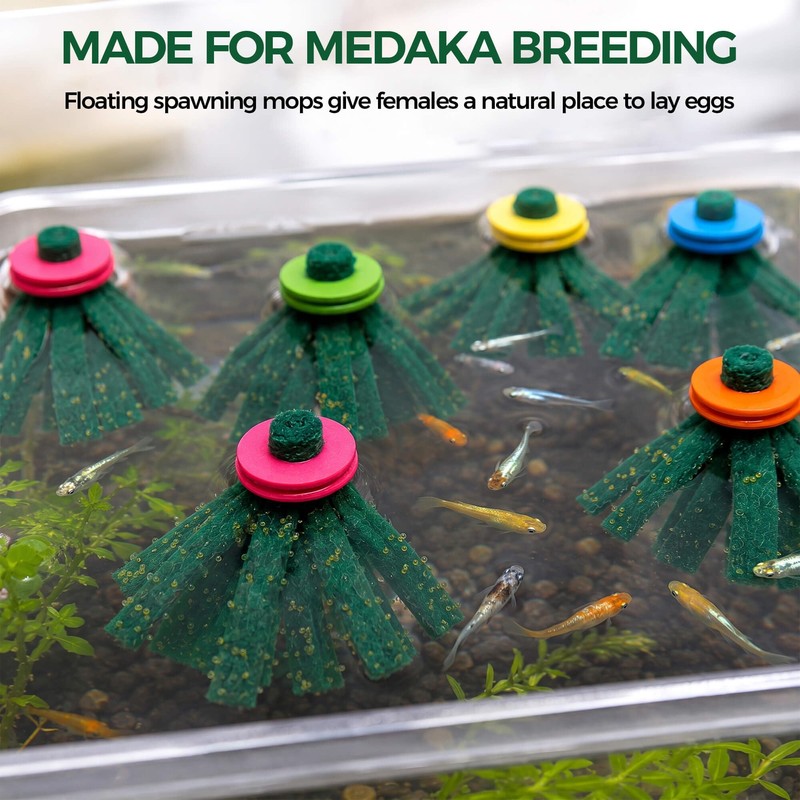 BaoZqua Medaka Spawning Mop Kit, 10 Floating Egg Collectors with