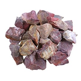 Lebensquelle Plus Versteinertes Holz Wassersteine | 100% naturbelassene Rohsteine | 300g Lebensquelle Plus