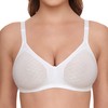 Susa Women's Non WirDD Bra White Weiß (003) 36D (Brand