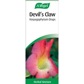 A.Vogel Devil's Claw Harpagophyum Drops (100ml)