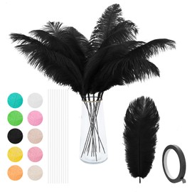 VONMXVTE Black Ostrich Feathers - 12Pcs 12-14inch Feather，Feathers for vase ，Black Party Decorations，Wedding Party Centerpieces and Home Decorations (Black)