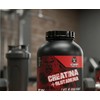 Creatina Glutamina 1 Kg Strong Protein 50servicios