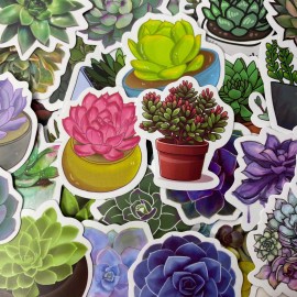 Undisclosed 100pc 1.5" Succulent Plant Cactus Stickers for Notebooks Water Bottles and More