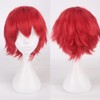 Eileen Fluffy Hair Wig, Universal Type, Cosplay, Dark Red, Unisex,