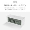 HuBDIC (HT-6) Temperature Humidity Date Day Alarm Snooze Backlight Included,