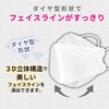 Nishikin Non-Woven Mask, Disposable High Density 4-Layer Filter, White, Individually