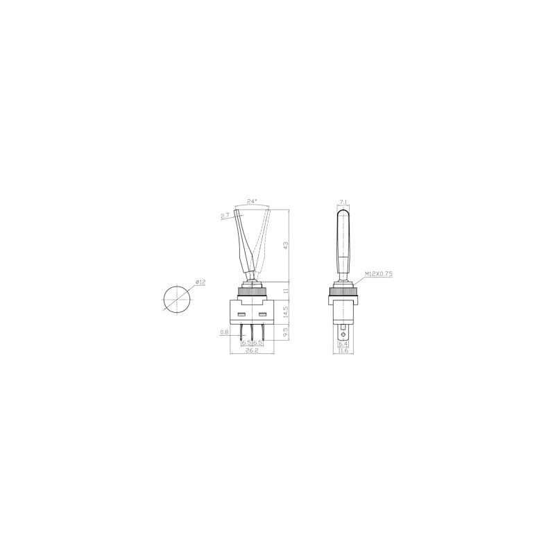 Long Paddle On-Off Black Toggle Switch SPST 20A