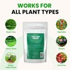 Humboldts Secret Everything Growing 20-20-20 Fertilizer | All Purpose Water