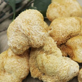 200g dried Helicopteric mane mushrooms, Helicopteric mane mushroom tea / 건조 노루궁뎅이버섯 200g 노루궁뎅이버섯차
